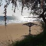 Armonia Case de vacanță
